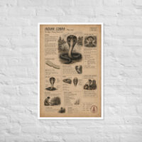 Enhanced matte paper framed poster in white 24x36 front 6a1bf628c1190.jpg