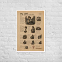 Enhanced matte paper framed poster in white 24x36 front 6a1bf6f2a4b75.jpg