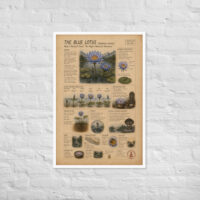 Enhanced matte paper framed poster in white 24x36 front 6a1bf9b1bdb06.jpg