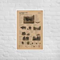 Enhanced matte paper framed poster in white 24x36 front 6a1c0161cbe7f.jpg