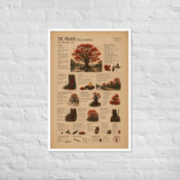 Enhanced matte paper framed poster in white 24x36 front 6a1c8d7773d55.jpg