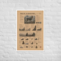 Enhanced matte paper framed poster in white 24x36 front 6a1c919fa211f.jpg