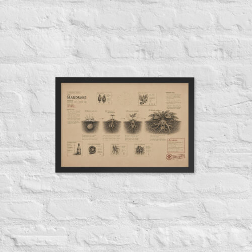 Enhanced matte paper framed poster in black 12x18 front 6a1dad6ee302d.jpg