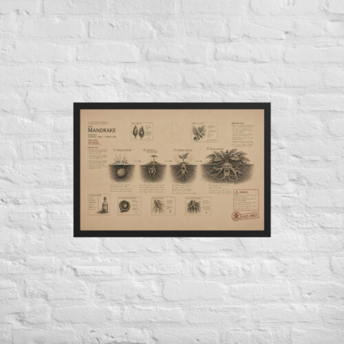 Enhanced matte paper framed poster in black 20x30 front 6a1dad6ee30f0.jpg
