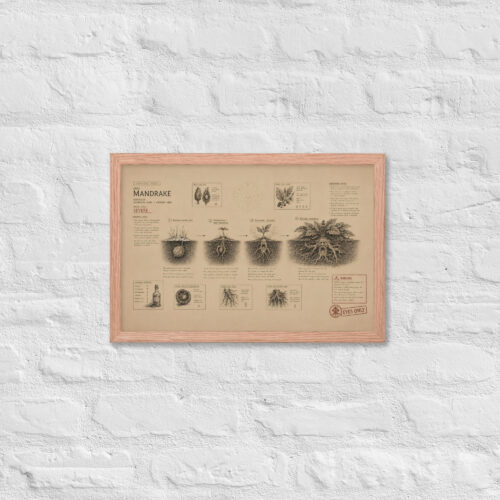 Enhanced matte paper framed poster in red oak 12x18 front 6a1dad6ee3243.jpg