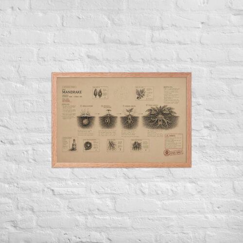 Enhanced matte paper framed poster in red oak 20x30 front 6a1dad6ee32d3.jpg