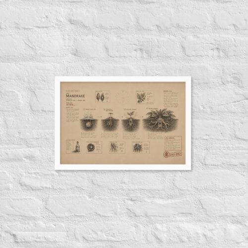 Enhanced matte paper framed poster in white 12x18 front 6a1dad6ee3482.jpg