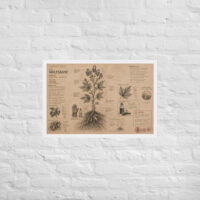 Enhanced matte paper framed poster in white 20x30 front 6a1d9f5cce460.jpg