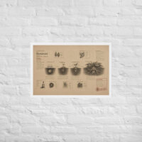 Enhanced matte paper framed poster in white 20x30 front 6a1dad6ee350e.jpg
