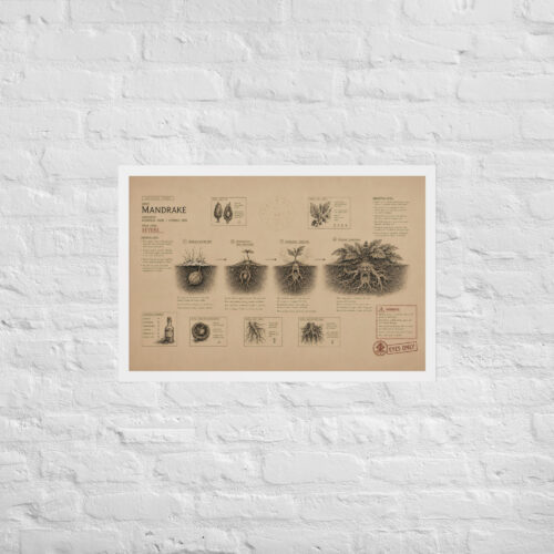Enhanced matte paper framed poster in white 20x30 front 6a1dad6ee350e.jpg