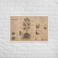 Enhanced matte paper framed poster in white 24x36 front 6a1d9f5cce4dd.jpg