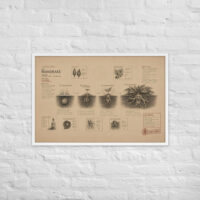Enhanced matte paper framed poster in white 24x36 front 6a1dad6ee35ca.jpg